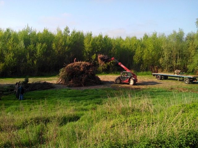 fin pour 2014 (2).jpg